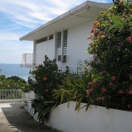 A Seascape Guest Room Fajardo Eksteriør bilde